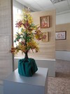 DSCN8523.JPG